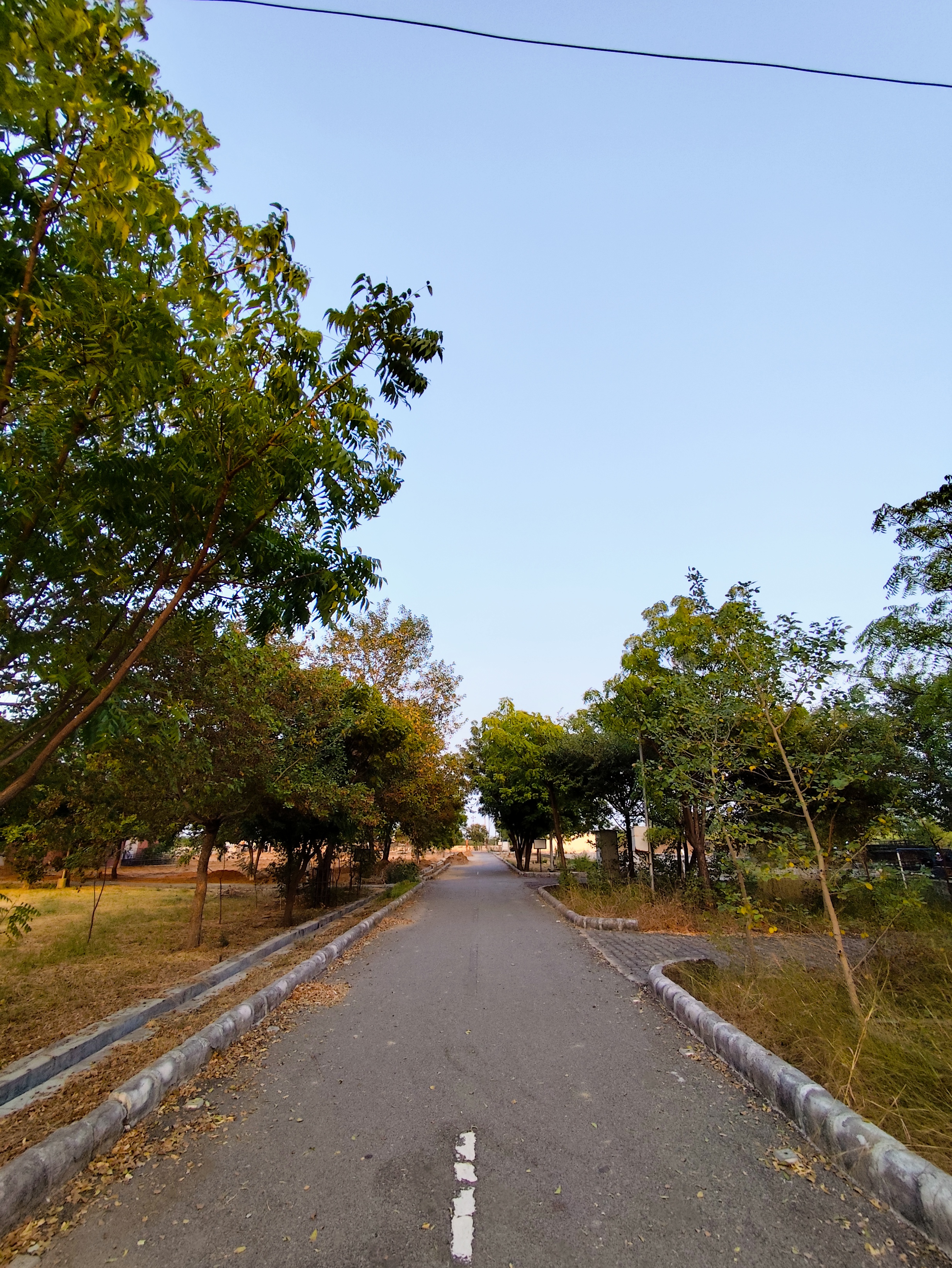 Portrait Photography